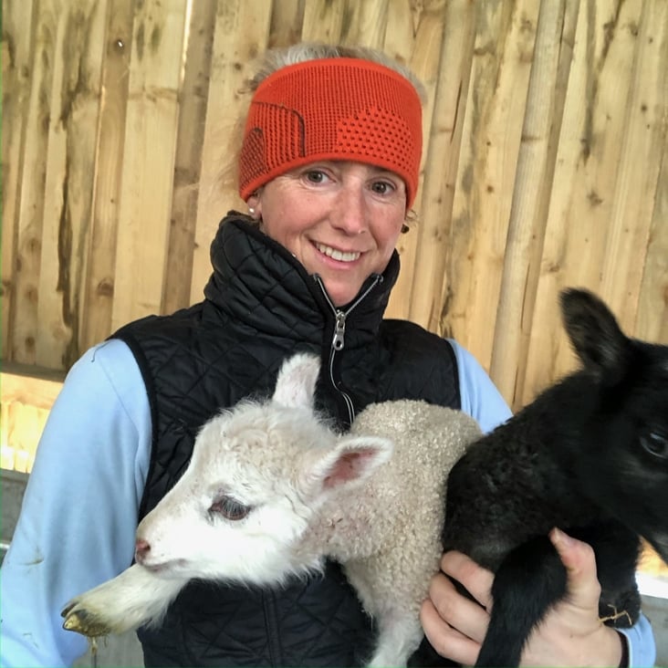 Lambing Season on Our Wool-Focused Farm by Susie Parish