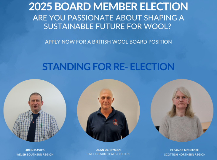 Non-Executive Board Member Nominations and Elections